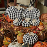 Autumn Checkerboard Pumpkins-Lange General Store