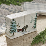 Evergreen Sleigh Salt & Pepper Set-Lange General Store