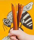 Messner Bee Farm Wildflower Honey Sticks - Variety Pak-Lange General Store