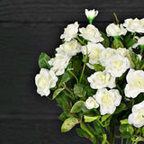 Mini Rose Bush Cream 11"-Lange General Store