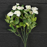 Mini Rose Bush Cream 11"-Lange General Store